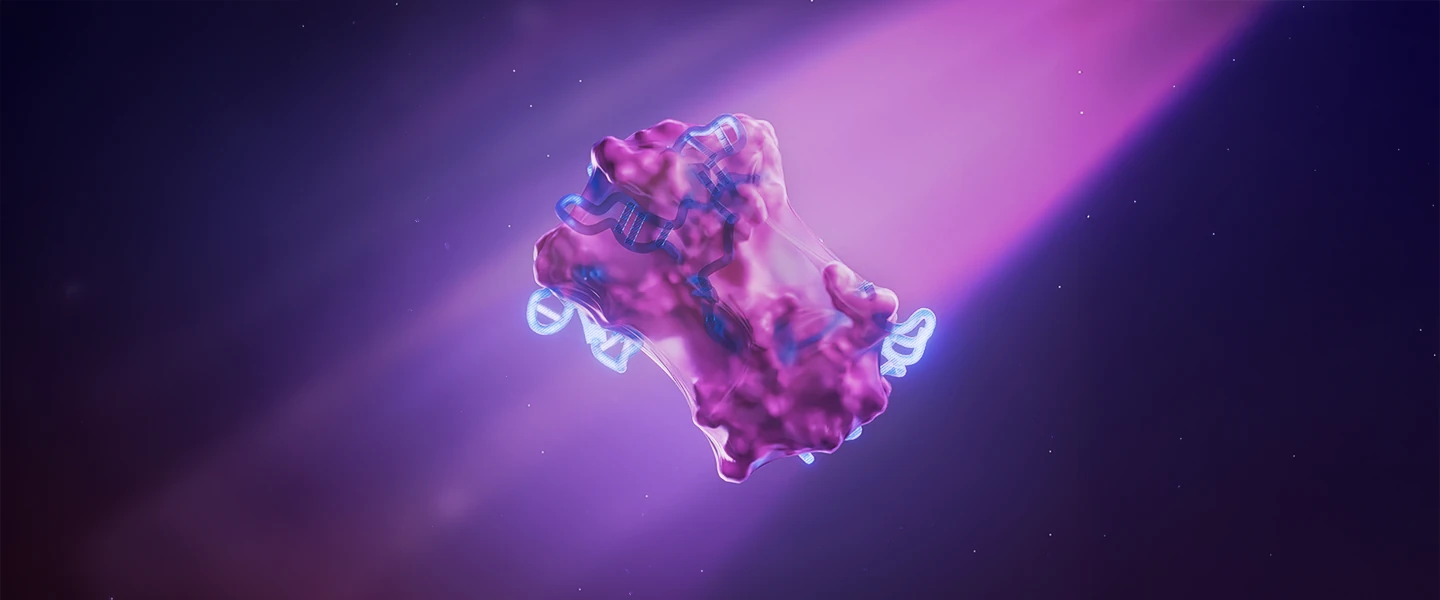 Representação molecular de BDNF em rosa e azul